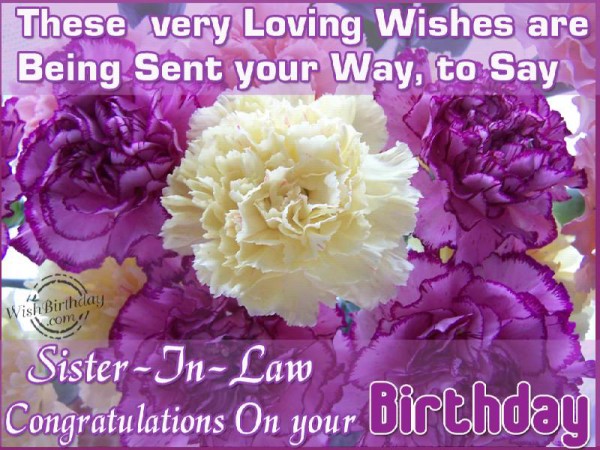 Congratulations On Your Birthday-wb4902