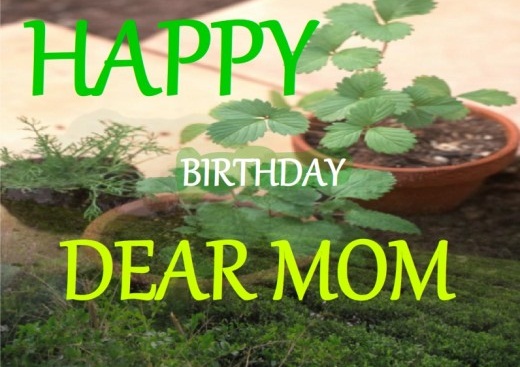 Dear Mom Happy Birthday-wb4001