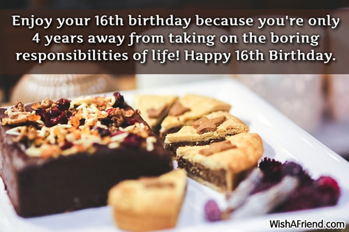 Enjoy Your Sixteenth Birthday-wb3507