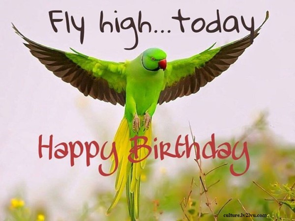 Fly Hig Today Happy Birthday-wb0332