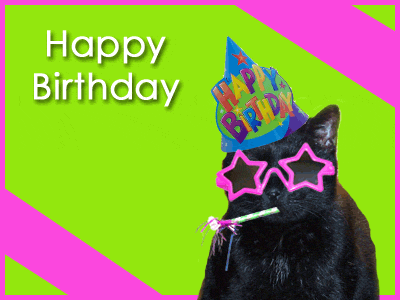 Funny Birthday Cat-wb5710