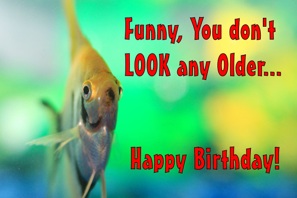 Funny You Do Not Look Any Older Birthday-wb01605
