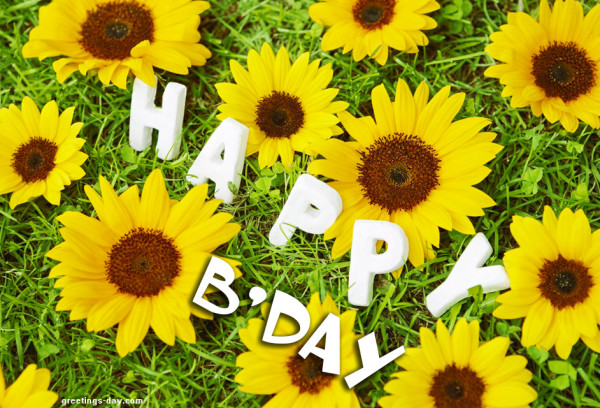 Happy Bday With Sunflowers-wb55038