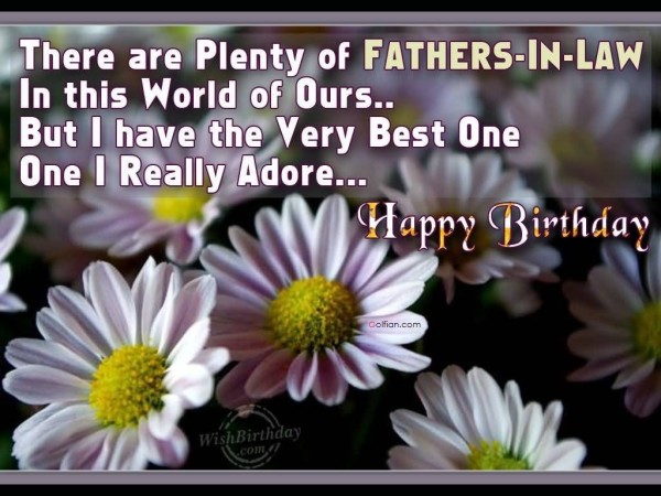 Happy Birthday Adorable Father In Law-wb471