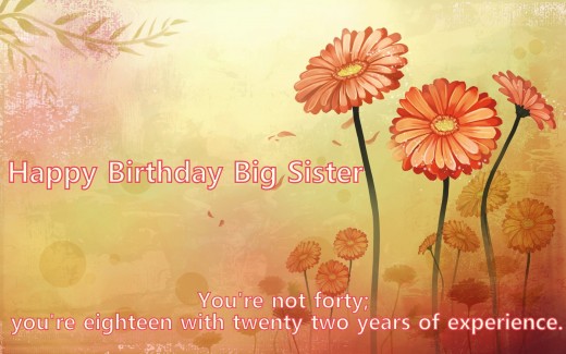 Happy Birthday Big Sister !-wb4104