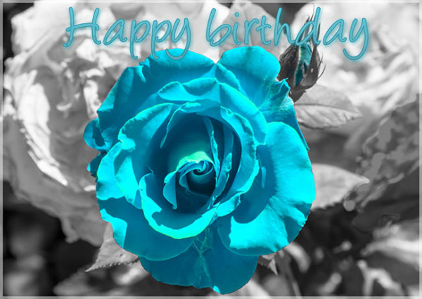 Happy Birthday Blue Roses-wb55039