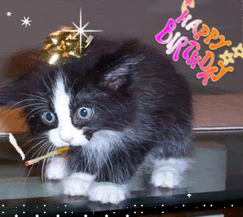 Happy Birthday - Cat Animation-wb56