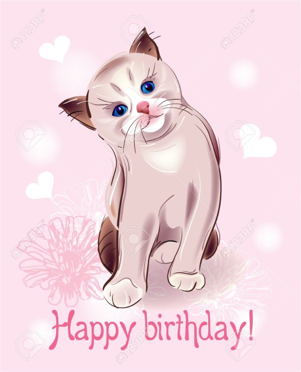 Happy Birthday - Cat Image-wb708
