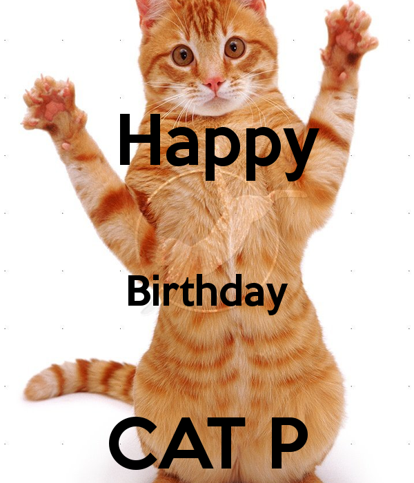 Happy Birthday Cat !!-wb711