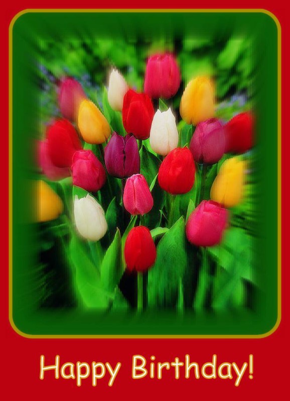  Happy Birthday - Colorful Tulips-wb55067