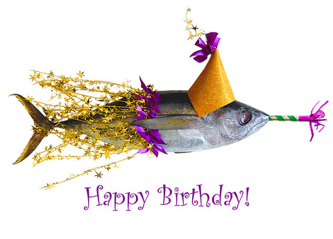 Happy Birthday - Fish Celebrating Birthday-wb01606