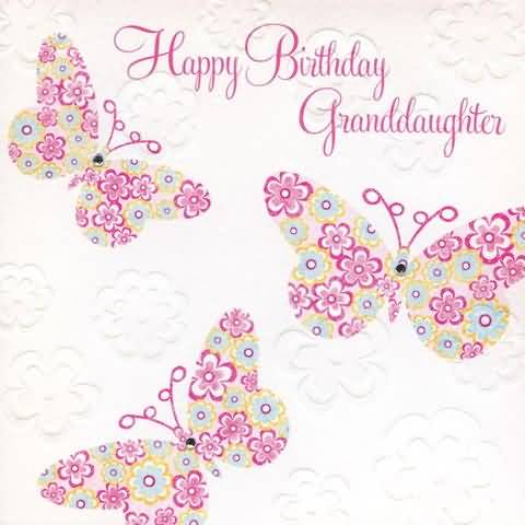 Happy Birthday Granddaughter-wb4607