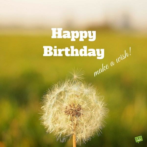 Happy Birthday Make A Wish !-wb7720