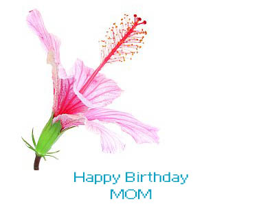 Happy Birthday Mom With Lilly Flower-wb4006