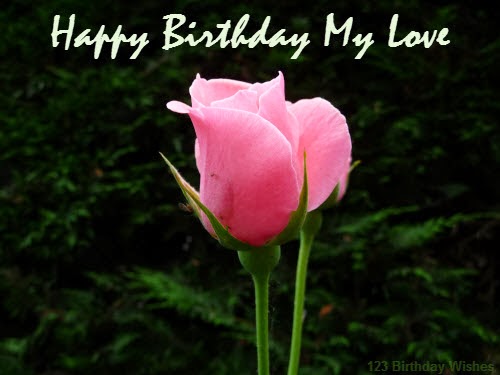 Happy Birthday My Love - Flower Photo-wb901