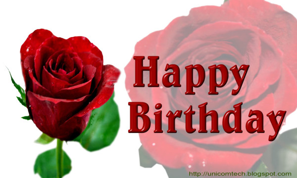 Happy Birthday - Red Rose-wb0111