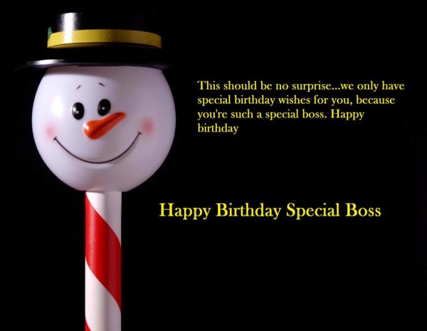 Happy Birthday Special Boss-wb0609