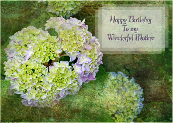 Happy Birthday To My Wonderful Mother-wb4009