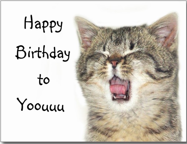Happy Birthday To You With Cat Image-wb719