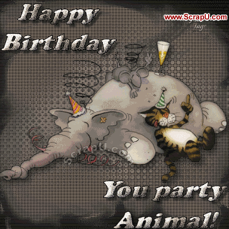 Happy Birthday U Party Animal