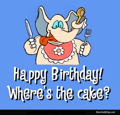 Happy Birthday Where Is the Cake !-wb0134