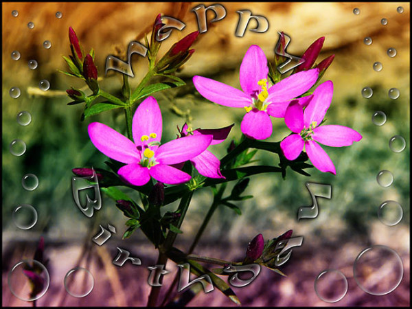 Happy Birthday With Amazing Flowers Image