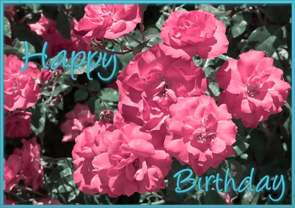 Happy Birthday With Beautiful Flowers