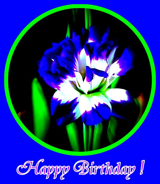 Happy Birthday With Blue Flowers-wb55057