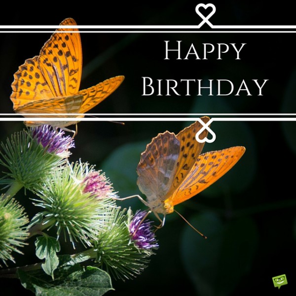 Happy Birthday With Butterflies-wb55058