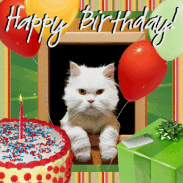 Happy Birthday With Cat Animated Pic