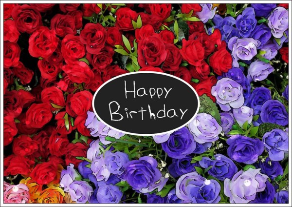 Happy Birthday With Colorful Roses-wb55060