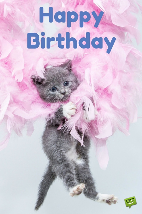 Happy Birthday With Cute Cat-wb133