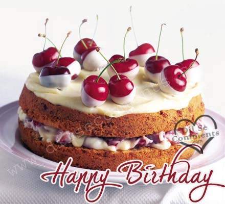 Happy Birthday With Delicious Fruit Cake-wb7921