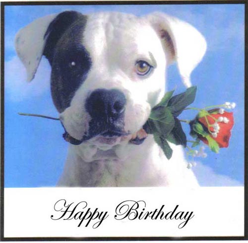 Happy Birthday With Dog Image-wb54