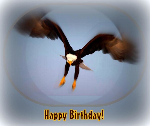 Happy Birthday With Eagle-wb0363