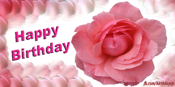 Happy Birthday With Pink Rose !-wb4118