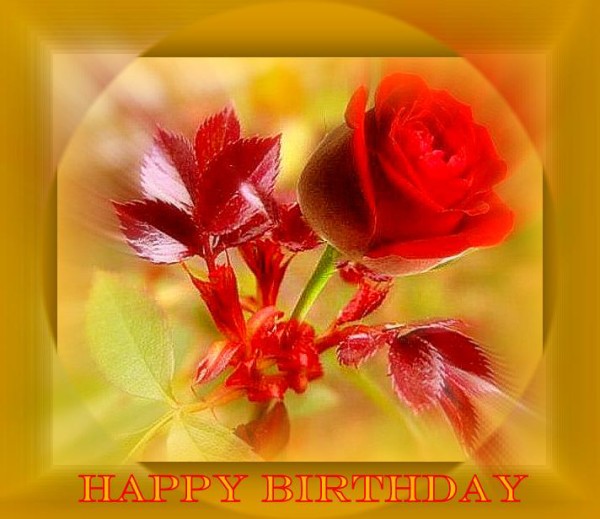 Happy Birthday With Pretty Red Flowers-wb55063