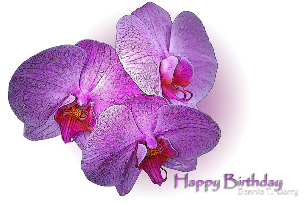Happy Birthday With Purple Flowers-wb4119