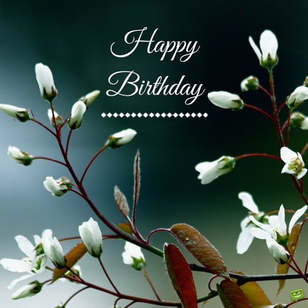 Happy Birthday With Sweet Flowers-wb55064