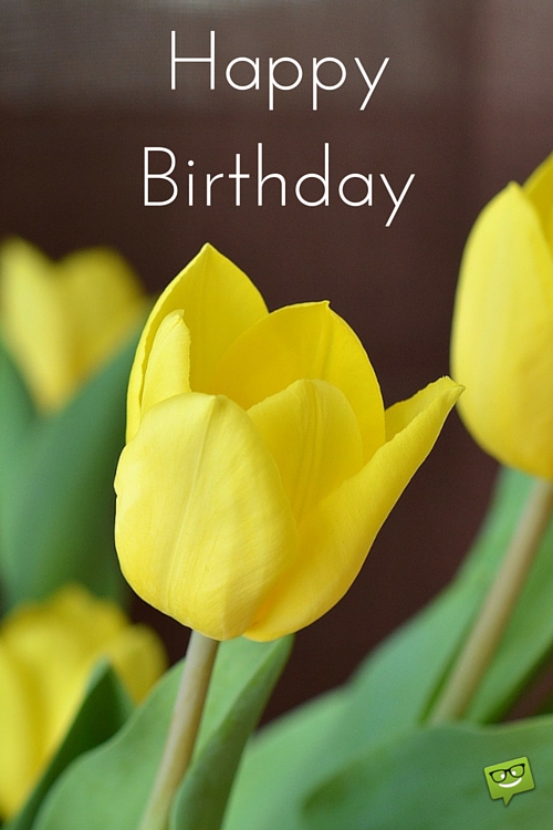 Happy Birthday With Yellow Tulip-wb4123