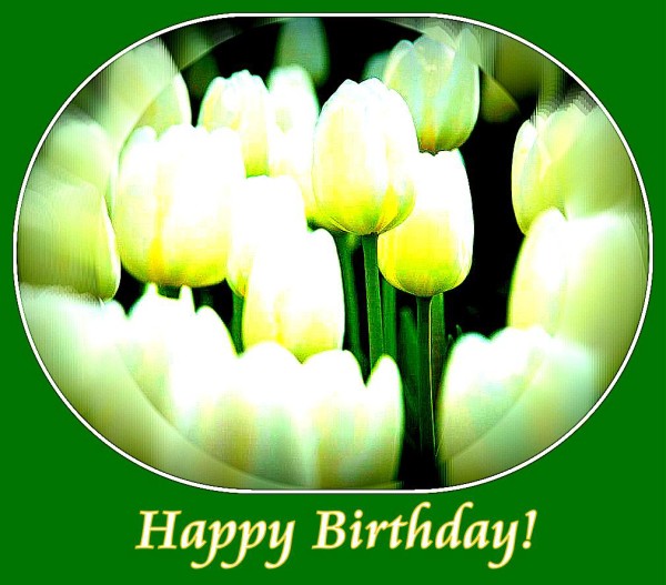 Happy Brthday Tulips-wb55069