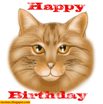 Happy Birthday With Cat-wb3112