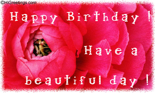 Have A Beautiful Day Happy Birthday-wb55070