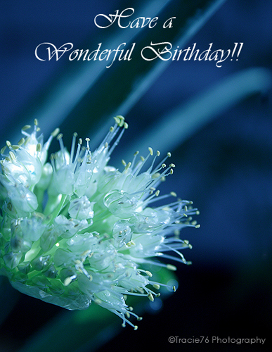 Have A Wonderful Happy Birthday-wb5412