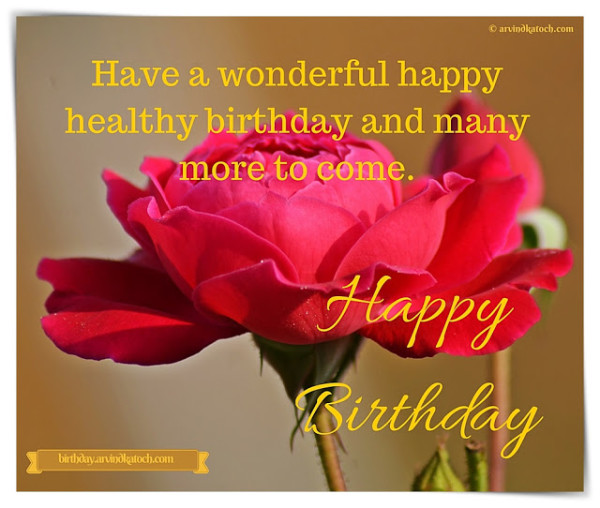 Have A Wonderful Happy Healthy Birthday-wb02511