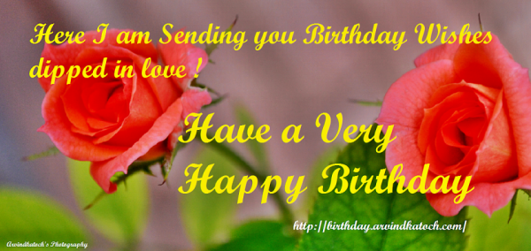 Here I Am Sending You Birthday Wishes-wb00503