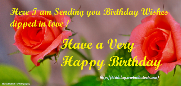 Here I Am Sending You Birthday Wishes-wb02513