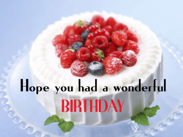 Hope You Had A Wonderful Birthday-wb7929