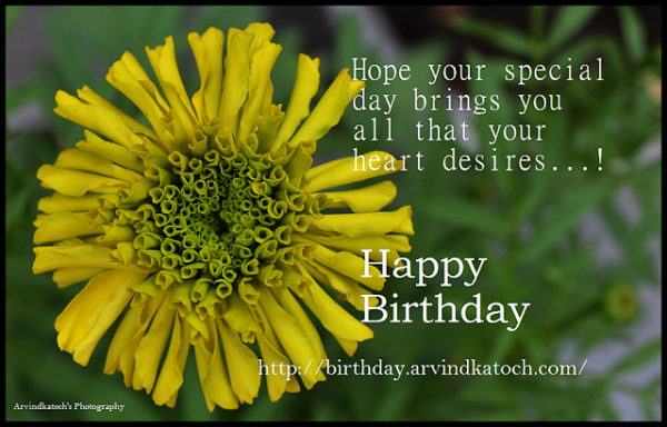 Hope Your Special Day Brings You All That Your  Heart Desire-wb02514