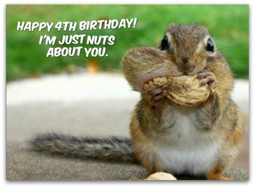 I Am Just Nuts About You !-wb1012